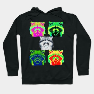 Raccoons Hoodie